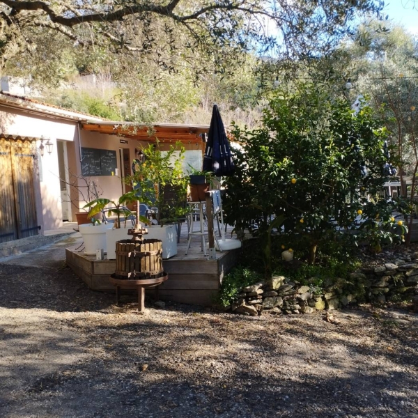 L'Alivu - restaurant BARBAGGIO